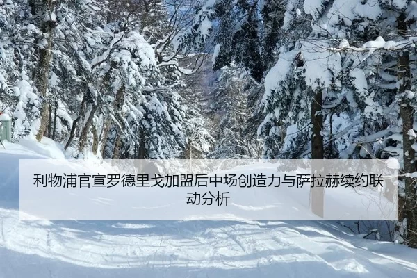 li-wu-pu-guan-xuan-luo-de-li-ge-jia-meng-hou-zhong-chang-chuang-zao-li-yu-sa-la-he-xu-yue-lian-dong-fen-xi-3-256.jpg