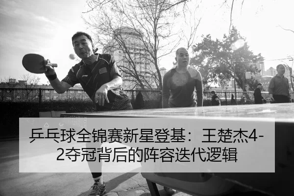 ping-pang-qiu-quan-jin-sai-xin-xing-deng-ji-wang-chu-jie-duo-guan-bei-hou-de-zhen-rong-die-dai-luo-ji-2-719.jpg